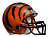 Cincinnati Bengals
